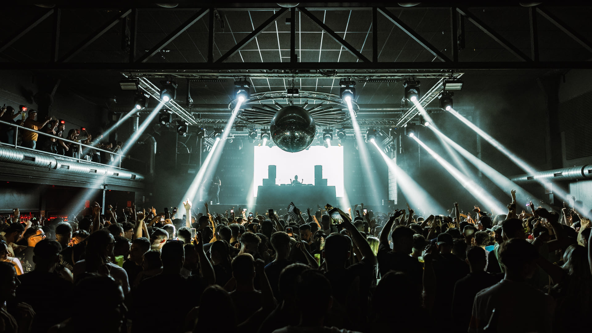 441896864_DAVID PEULA